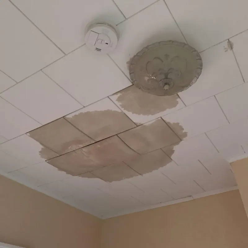 Ceiling Water Damage Repair in Oconto County, WI