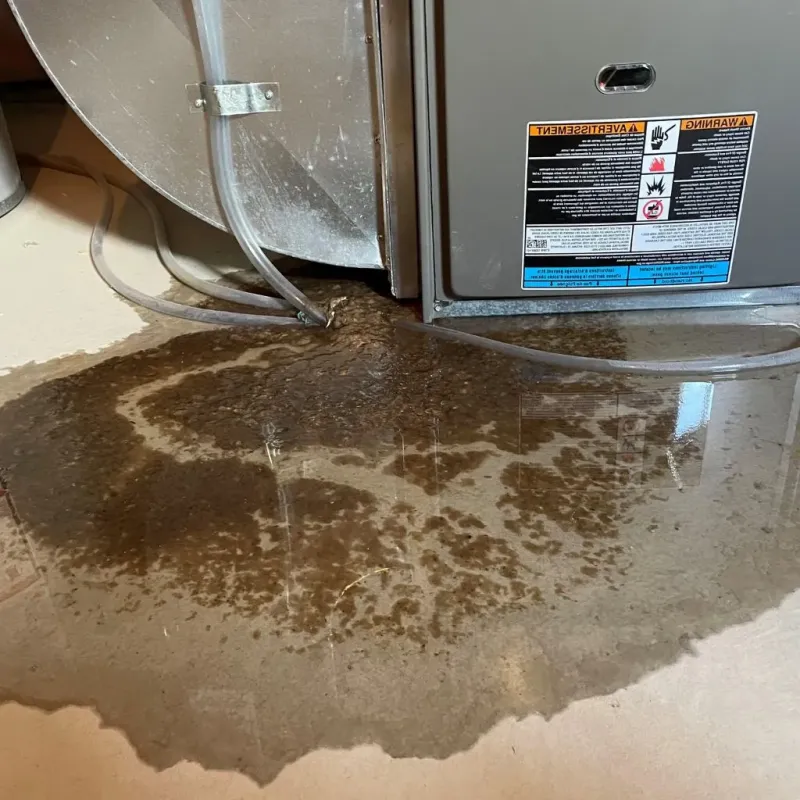 Pipe Burst and Leak Restoration in Oconto County, WI