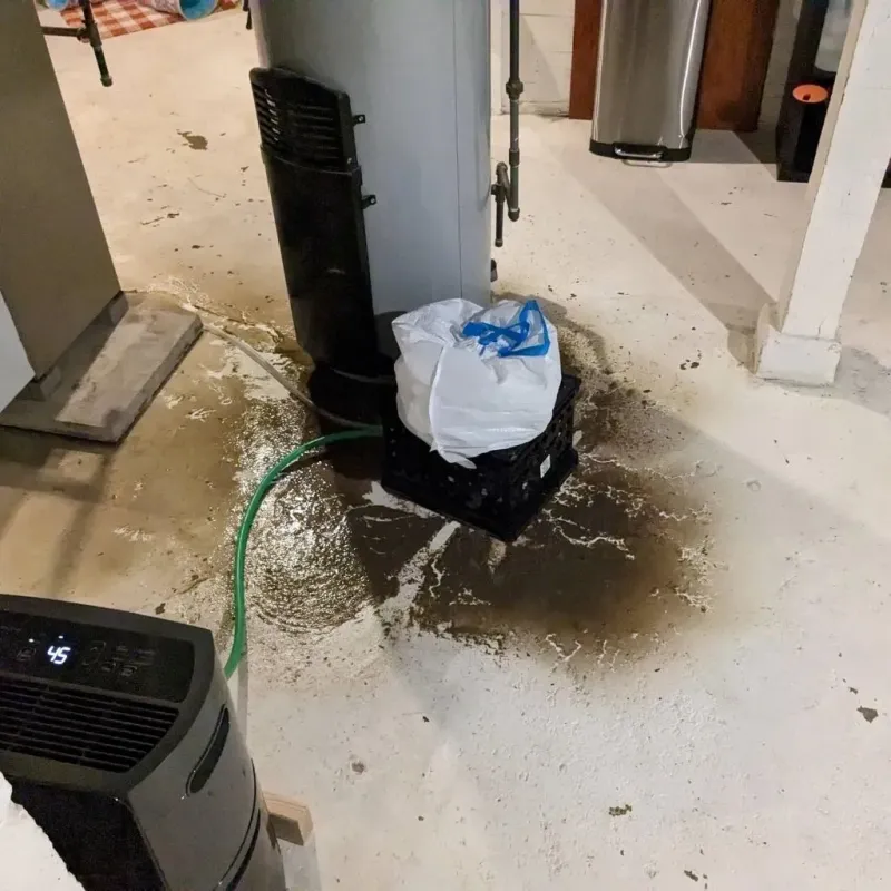 Sewage Backup Cleanup Service in Oconto County, WI